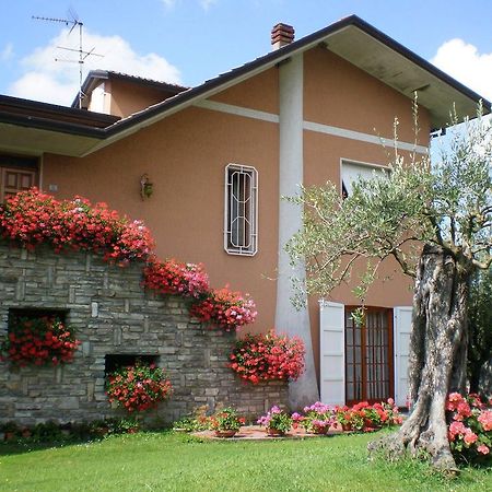 Апартаменты Nel Giardino Degli Ulivi Кастельнуово-ди-Магра Номер фото